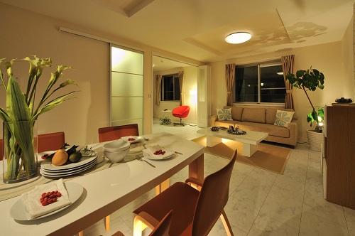 Same specifications photos (living). Our construction cases