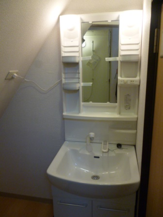 Washroom. Shampoo dresser