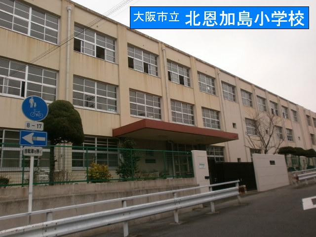 Primary school. Kitaokajima up to elementary school (elementary school) 500m