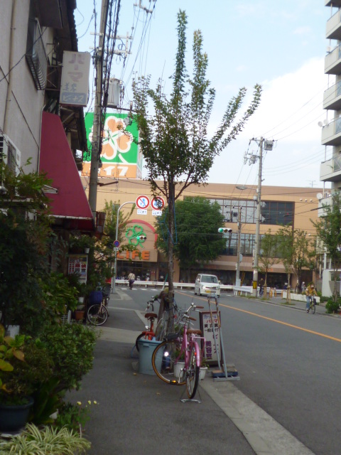 Other. "Taisho-ku ・ Rent "neighborhood