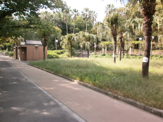 park. 100m until the Kuril park (park)