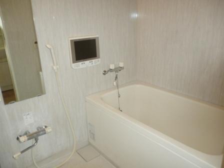 Bathroom. TV with bathroom (1317 size) (January 2014) Shooting