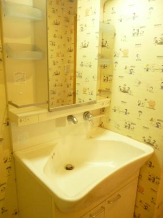 Wash basin, toilet. Vanity (January 2014) Shooting