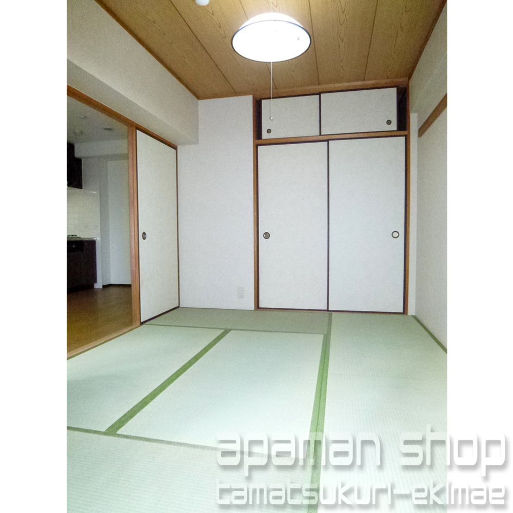 Other room space. Japanese style room