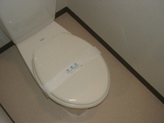 Toilet. Toilet