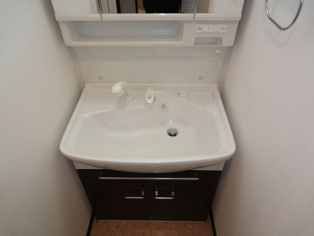 Washroom. Shampoo dresser