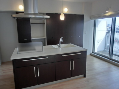 Kitchen. Island Kitchen