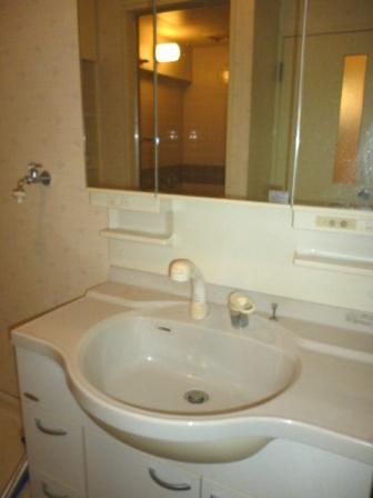Wash basin, toilet. Vanity (January 2014) Shooting