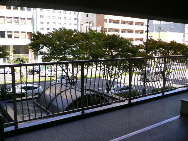 Other. Is the view from the outside of the dwelling unit entrance