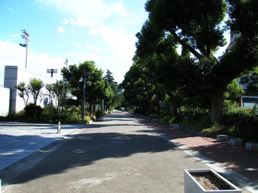 park. 480m until Sanadayama park