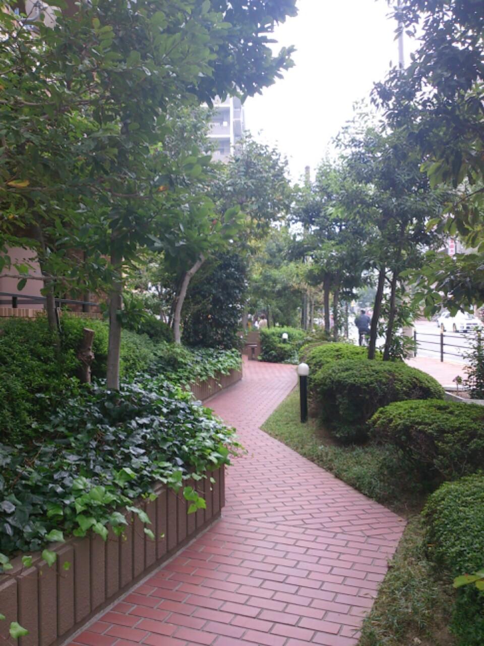 Other local. Local (11 May 2013) Shooting