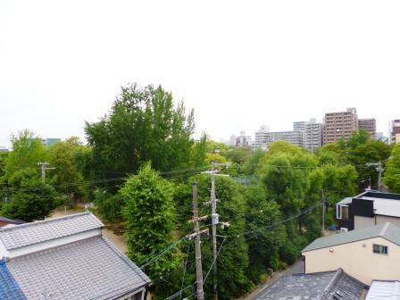 View photos from the dwelling unit. Is the view from the rooftop. 