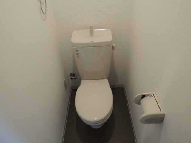 Other. It is a toilet with a clean