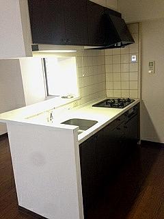 Kitchen. Easy-to-use face-to-face kitchen