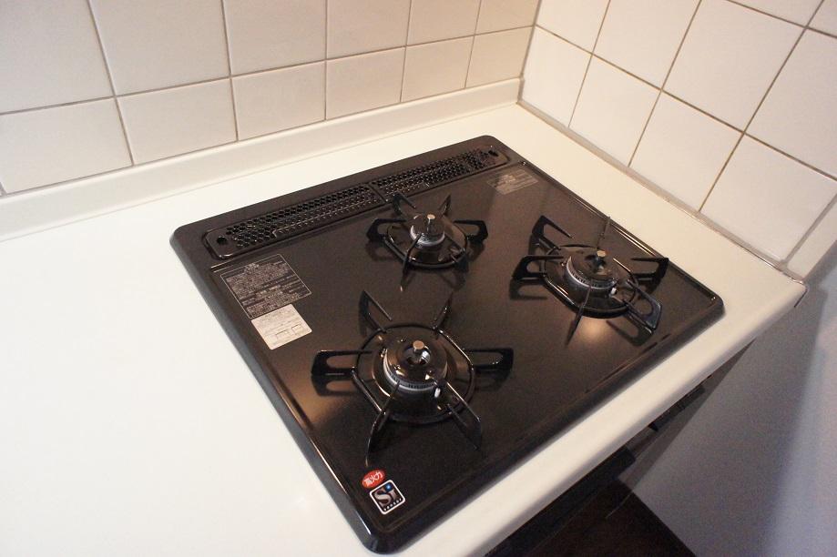 Kitchen. Three-necked gas stove!