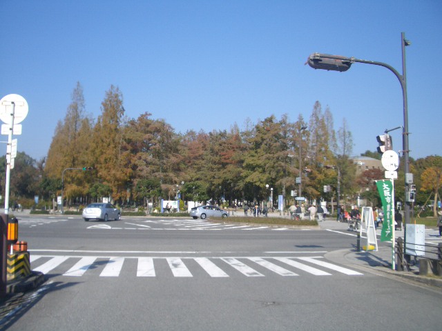 Other. Neighborhood ・  ・  ・ Tsurumi Ryokuchi park