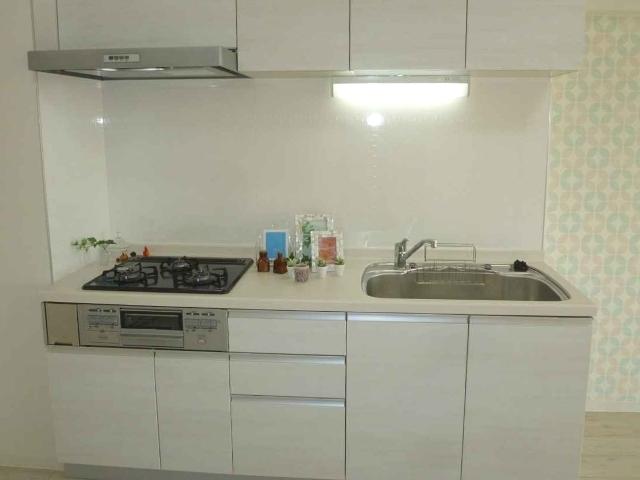 Kitchen. System kitchen had made