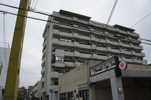 Other.  [Immediate Available] Now start a new life!