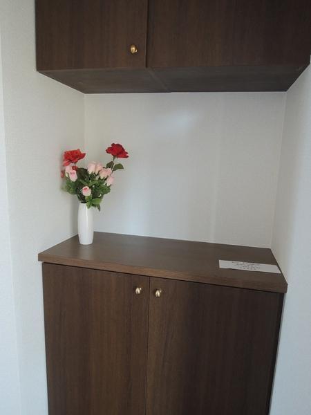 Entrance. Cupboard. Shelf is washable type in. It can also be washed dirty.