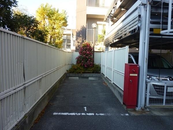 Parking lot. The plane of the parking lot.