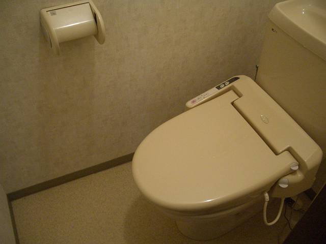 Toilet