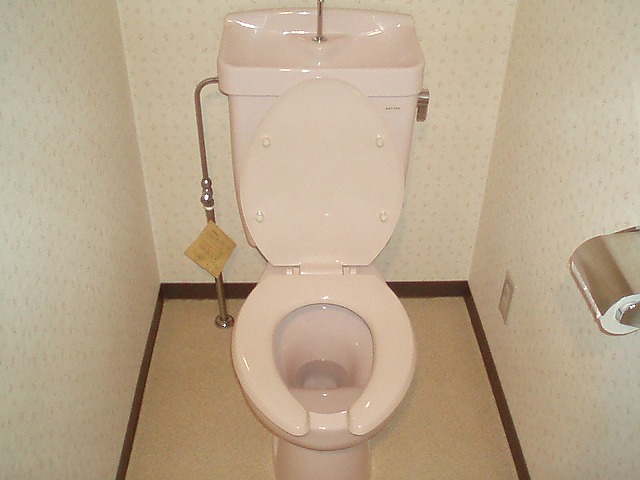 Toilet. Washlet installation Allowed! 