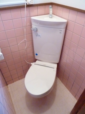 Other. Toilet