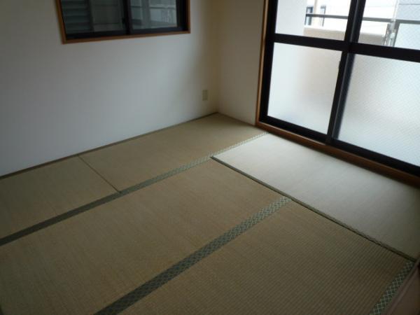 Other introspection. Something useful Japanese-style room.