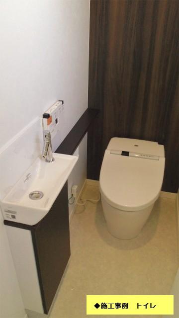 Other. Construction Case toilet