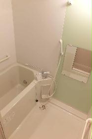 Bath. With bathroom dryer