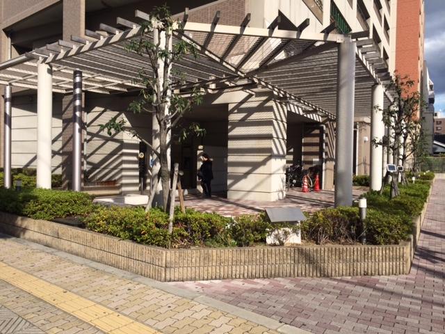 Entrance. Common areas