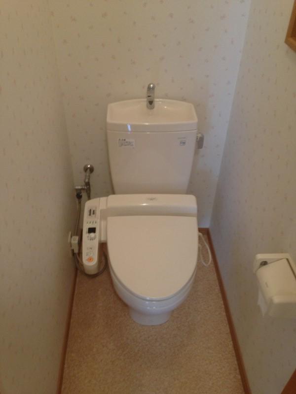 Toilet. It comes with a bidet! 