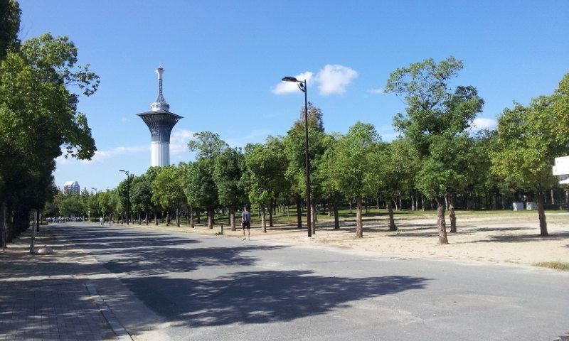 Other. Flora 2004 Memorial Park Tsurumi Ryokuchi