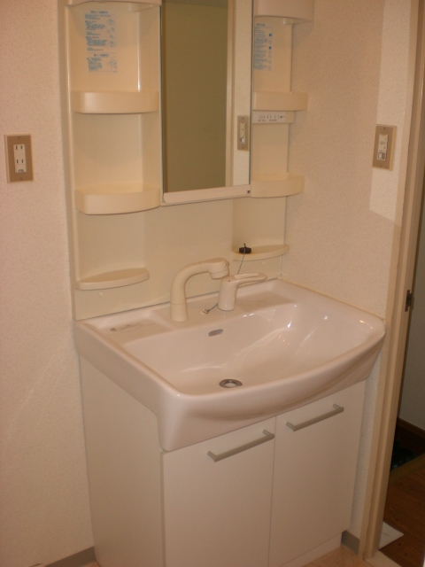 Washroom. It is a wash basin with a shampoo dresser! 