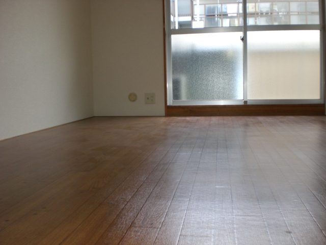 Other room space. It has changed the flooring from the Japanese-style room. 