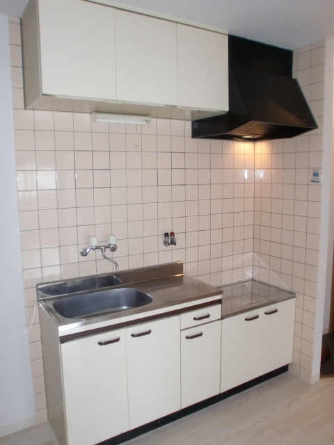 Kitchen. Gas stove is installed Allowed