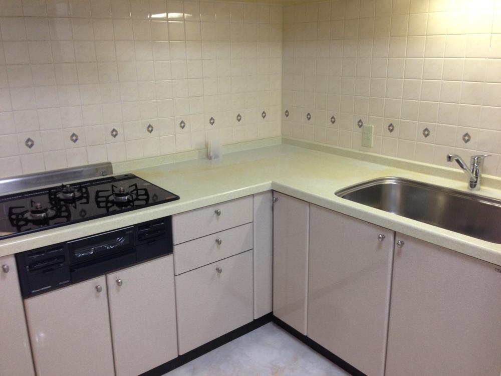 Kitchen. Indoor (12 May 2012) shooting