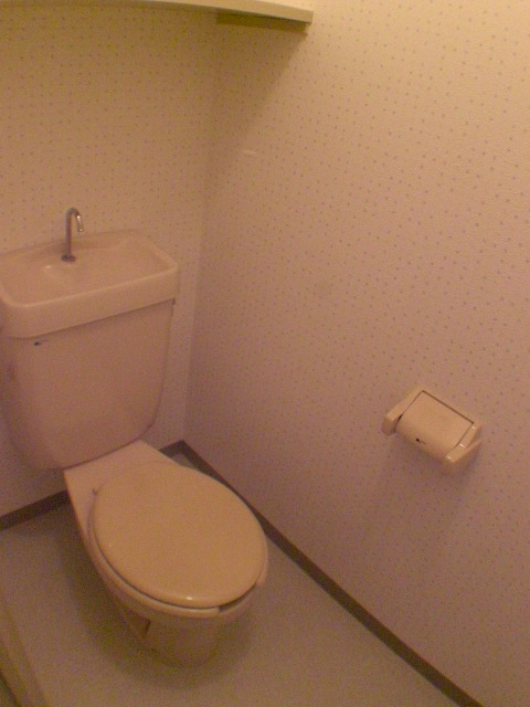 Toilet