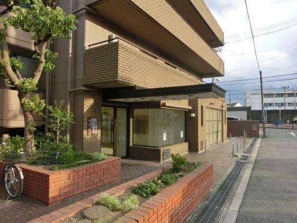 Local appearance photo. Local (11 May 2013) Shooting