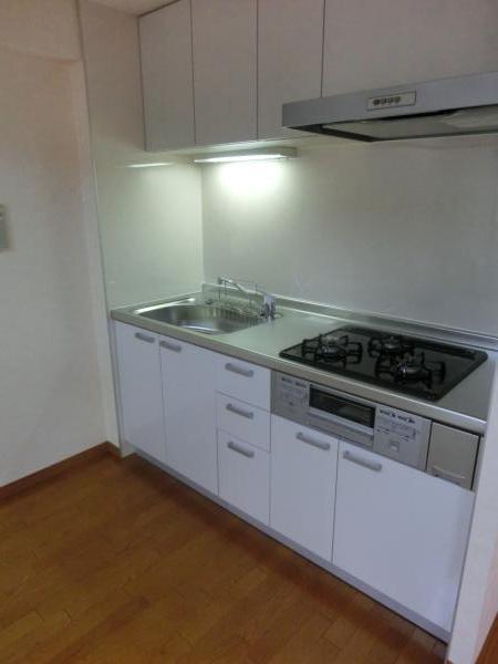 Kitchen. Indoor (11 May 2013) Shooting