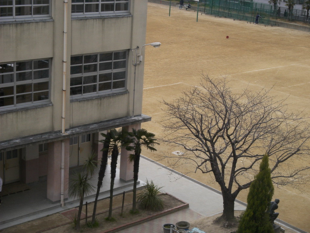 Junior high school. 289m to Osaka City Tatsumidori junior high school (junior high school)