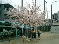 Primary school. 404m to Osaka Municipal Tsurumi Minami elementary school (elementary school)