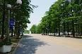 park. Until Flora 2004 Memorial Park Tsurumi Ryokuchi 1459m