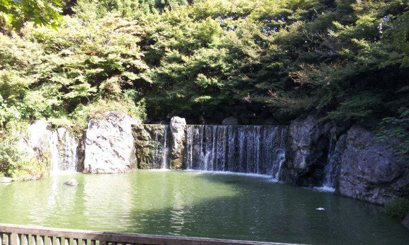 Other. Flora 2004 Memorial Park Tsurumi Ryokuchi "waterfall"