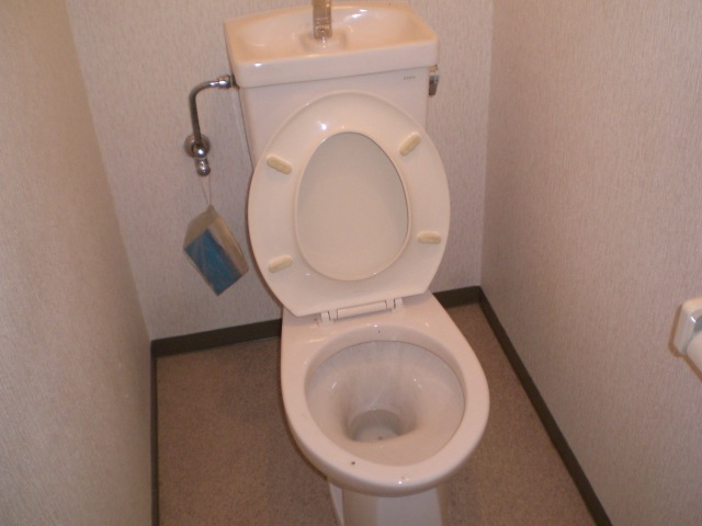 Toilet. Washlet installation Allowed