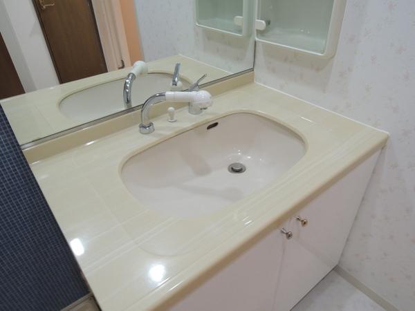 Wash basin, toilet. Shampoo dresser. Bowl is also easy to wash with a hand shower.