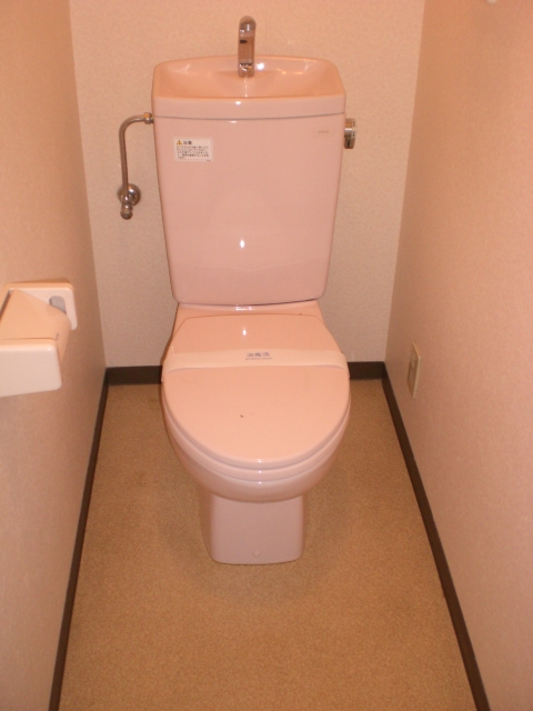 Toilet. It is very convenient in the shelf at the top. 