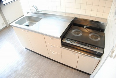 Kitchen. Two-burner IH hob