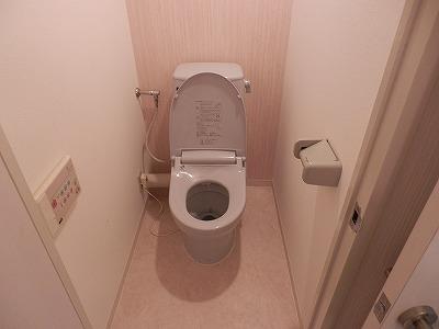 Toilet. Indoor (06 May 2012) shooting