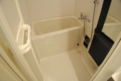 Bath. It comes with a bathroom dryer